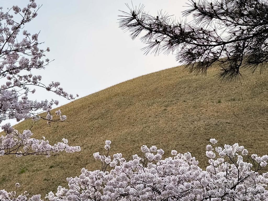 Daereungwon Tomb Complex