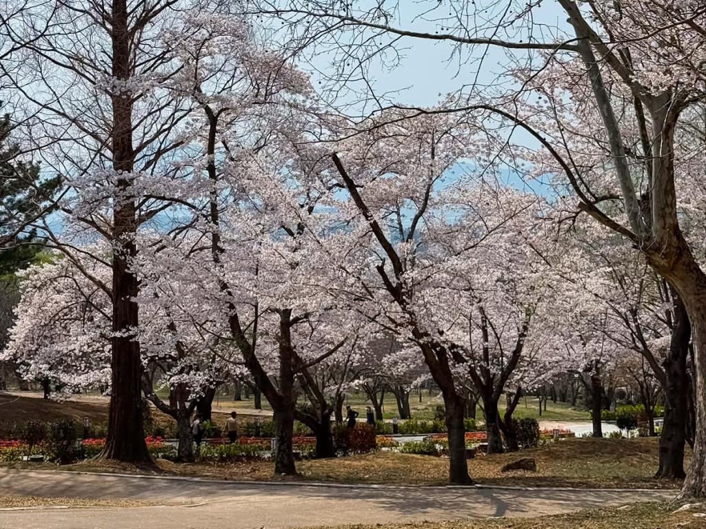 Bulguksa Temple