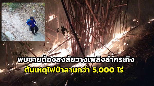แก่งกระจานพบภาพชายต้องสงสัยวางเพลิงล่ากระทิง ต้นเหตุไฟป่าลามกว่า 5,000 ไร่ เร่งล่าตัวดำเนินคดี