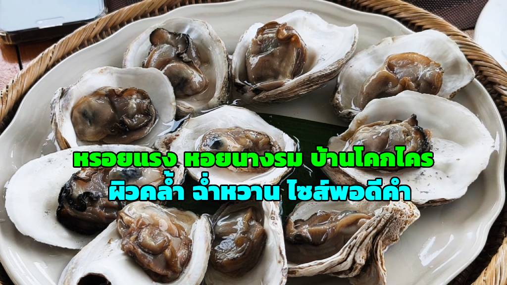 หรอยแรง หอยนางรม “บ้านโคกไคร” สดจากแหล่ง ผิวคล้ำ ฉ่ำหวาน ไซส์พอดีคำ 