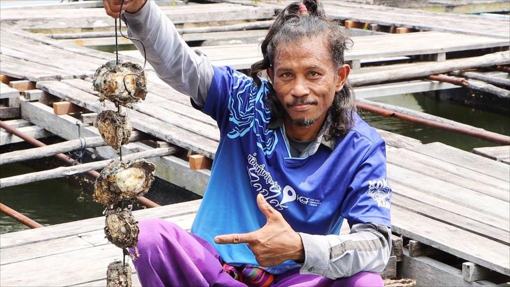 หรอยแรง หอยนางรม “บ้านโคกไคร” สดจากแหล่ง ผิวคล้ำ ฉ่ำหวาน ไซส์พอดีคำ 