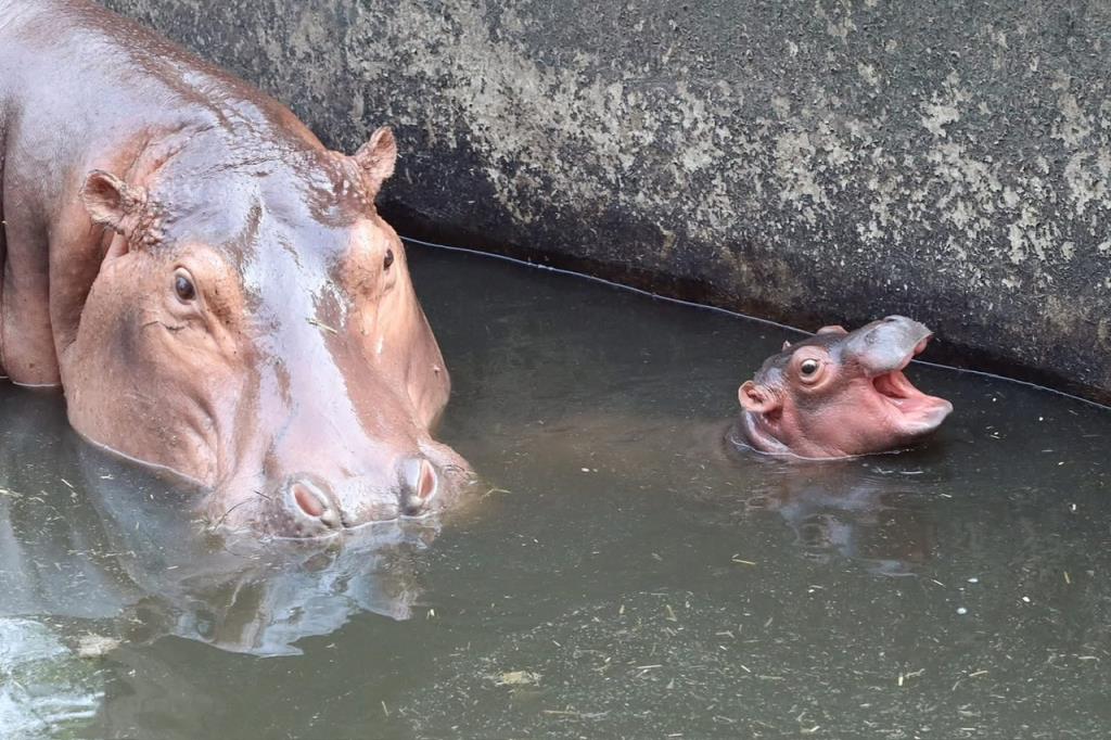 ภาพจากสวนสัตว์เชียงใหม่