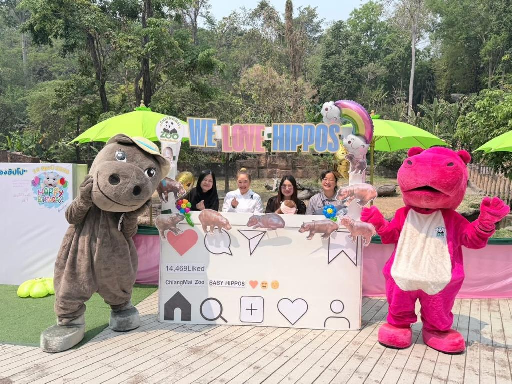 ภาพจากสวนสัตว์เชียงใหม่