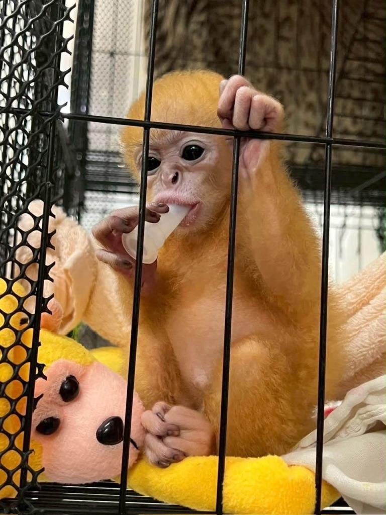 ภาพจากสำนักบริหารพื้นที่อนุรักษ์ที่ 14 ตาก