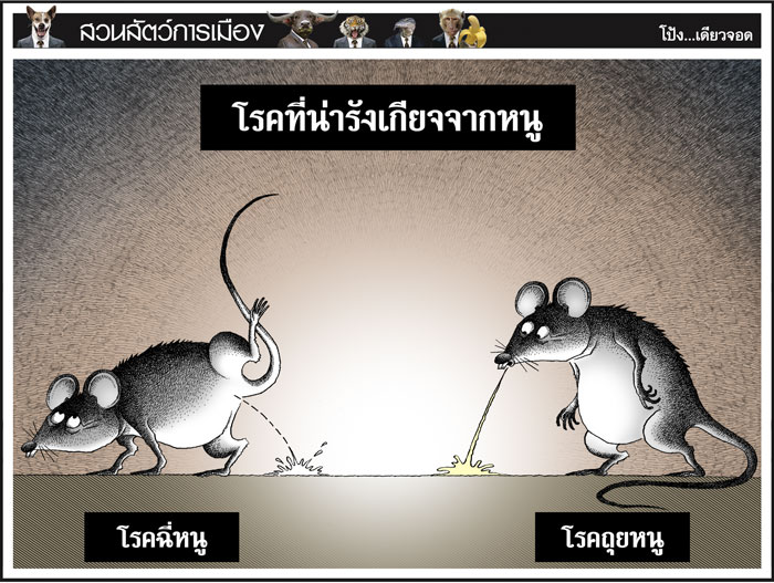 โรคที่น่ารังเกียจจากหนู