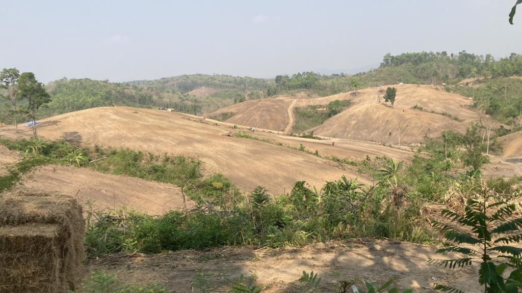 (คลิป)ตะลึง!เปิดภาพดอยป่าหนา ไชยปราการ โดนรุกตัด-ถางเหี้ยน รอใส่พานนายทุนเช่าปลูกขิง