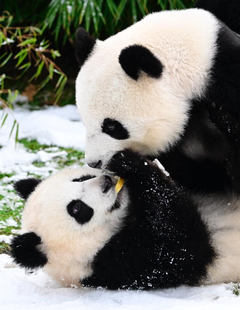 แฟ้มภาพ เอเอฟพี