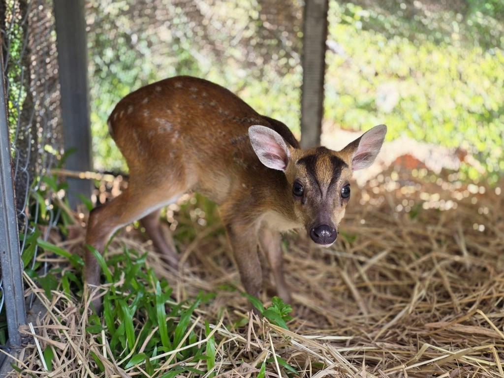 ภาพ: อุทยานแห่งชาติรามคำแหง จ.สุโขทัย