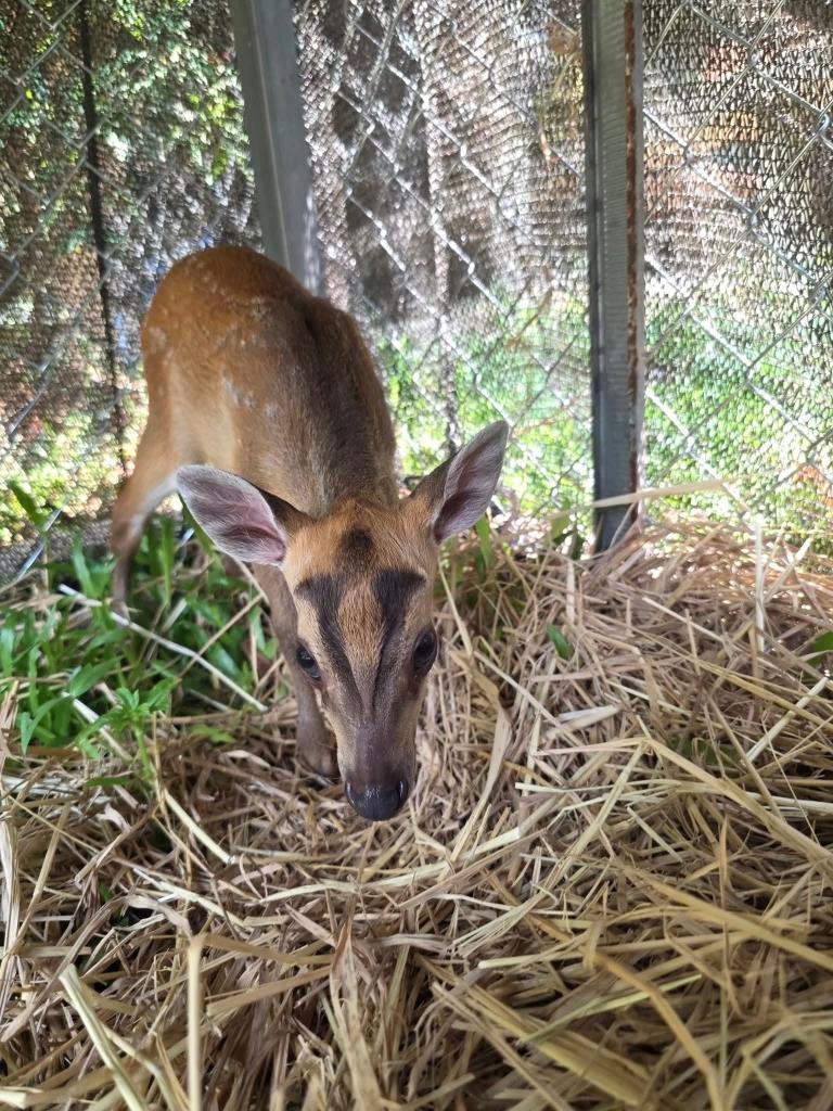 ภาพ: อุทยานแห่งชาติรามคำแหง จ.สุโขทัย