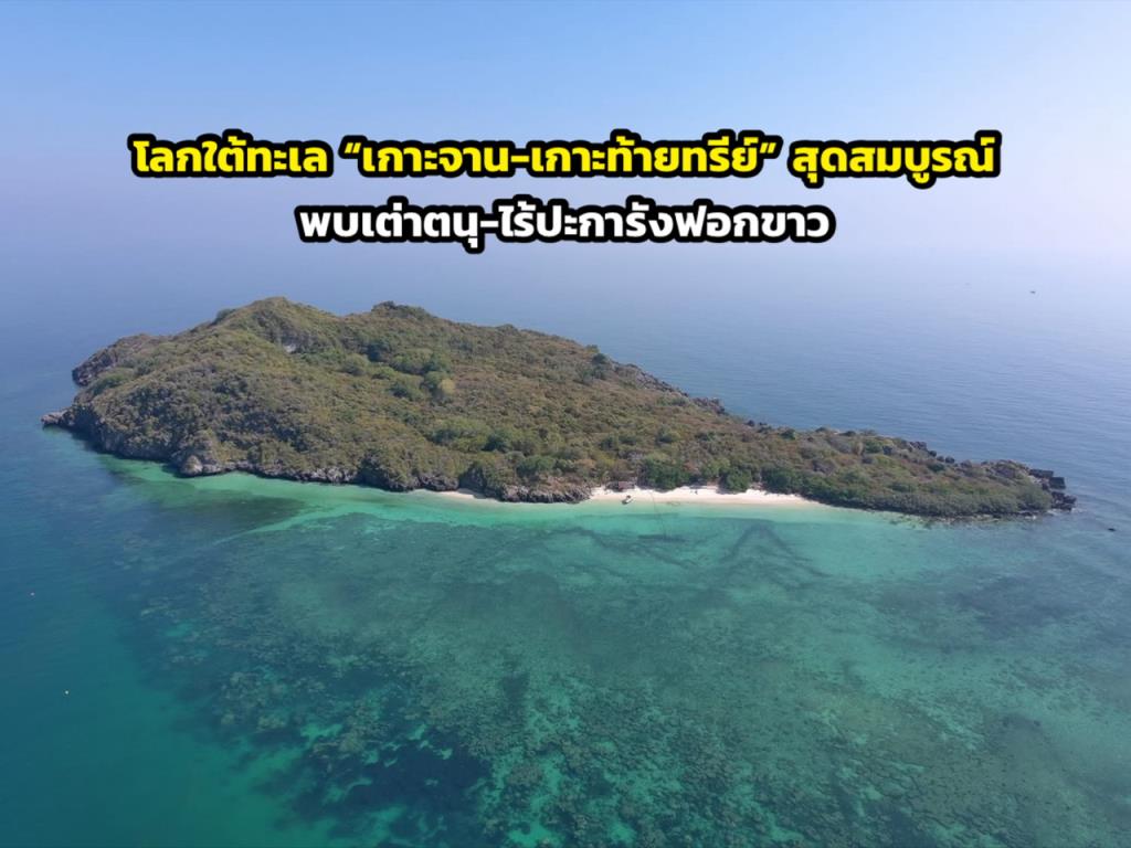 ภาพจาก กรมอุทยานแห่งชาติสัตว์ป่าและพันธุ์พืช 