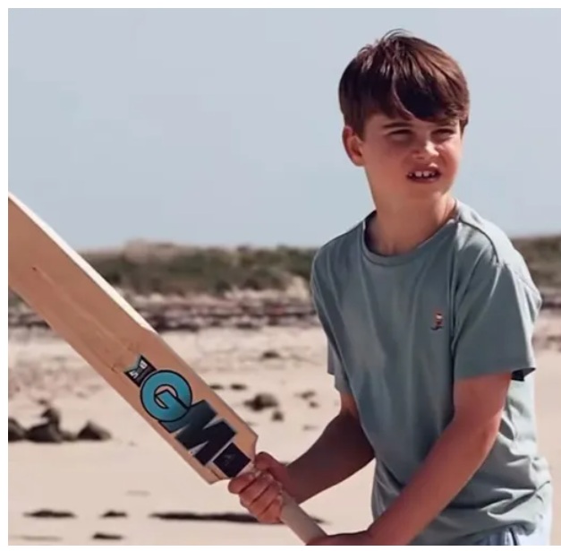 คริกเก็ตเป็นกีฬาที่ปรินซ์หลุยส์ทรงถนัดและโปรดปราน และยังชมชอบกีฬารักบี้ด้วย นอกจากนั้น ปรินซ์ทรงมีการตีกลองเป็นงานอดิเรกอีกอย่างหนึ่ง