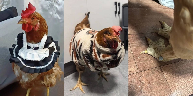 (ภาพจาก : สื่อจีน)