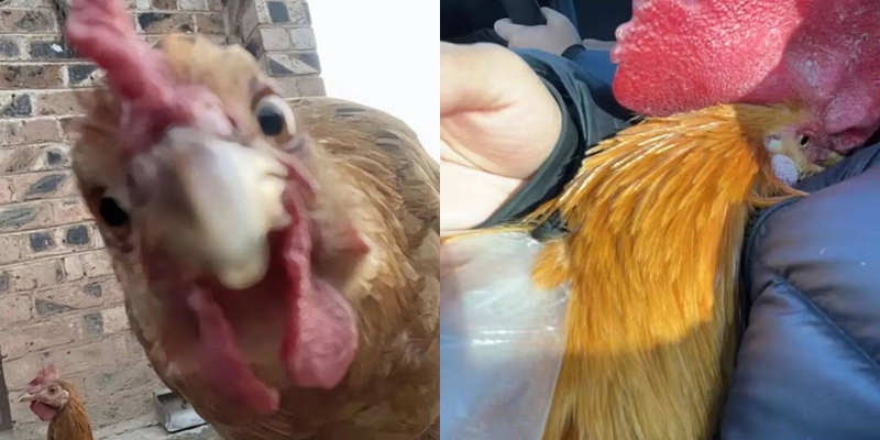 (ภาพจาก : สื่อจีน)