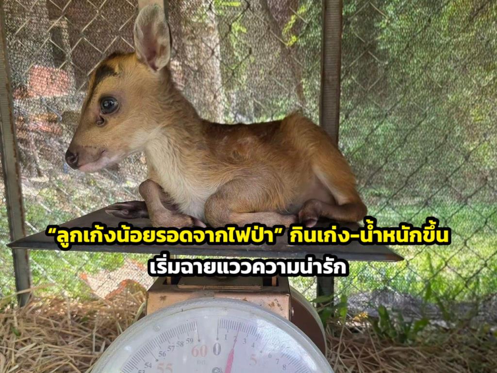 ภาพจาก อช.รามคำแหง