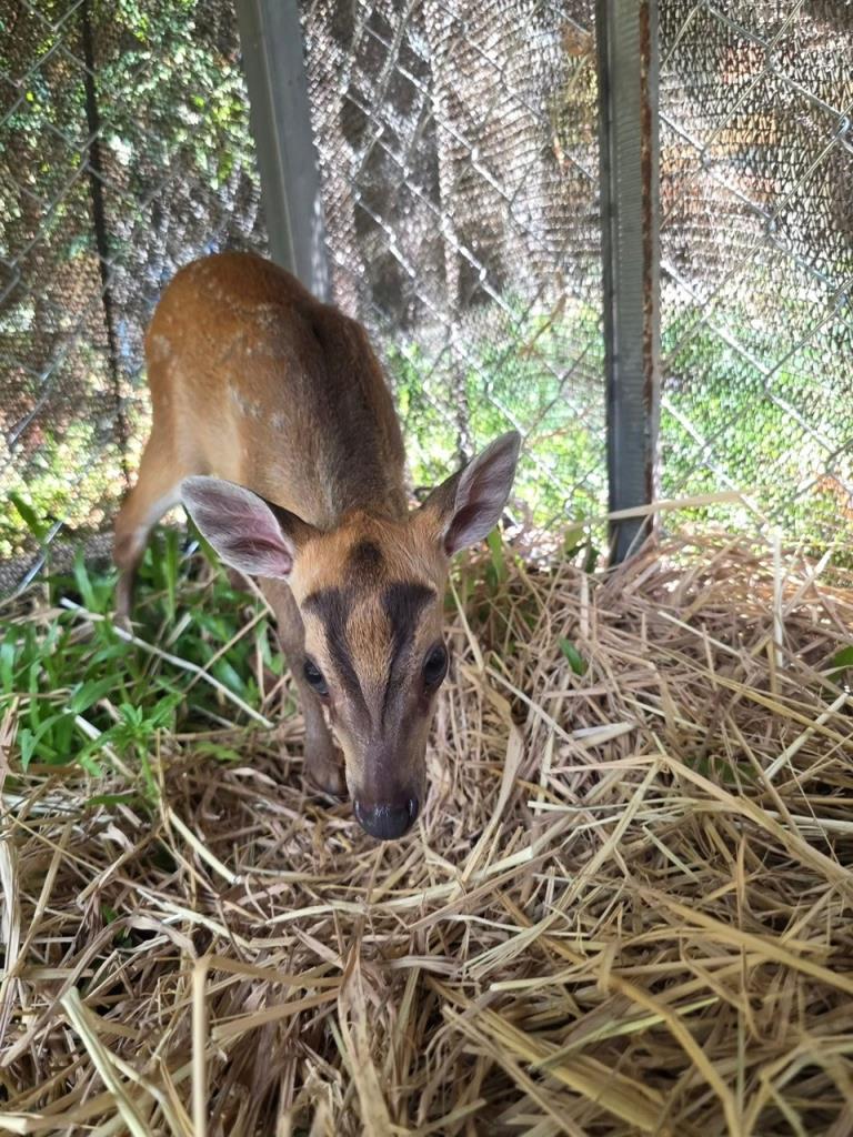 ภาพจาก อช.รามคำแหง