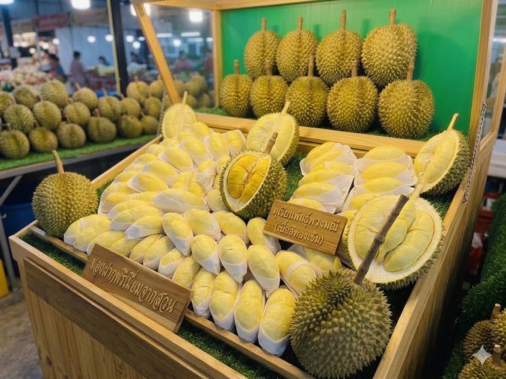 ภาพจากวัดท่าไม้