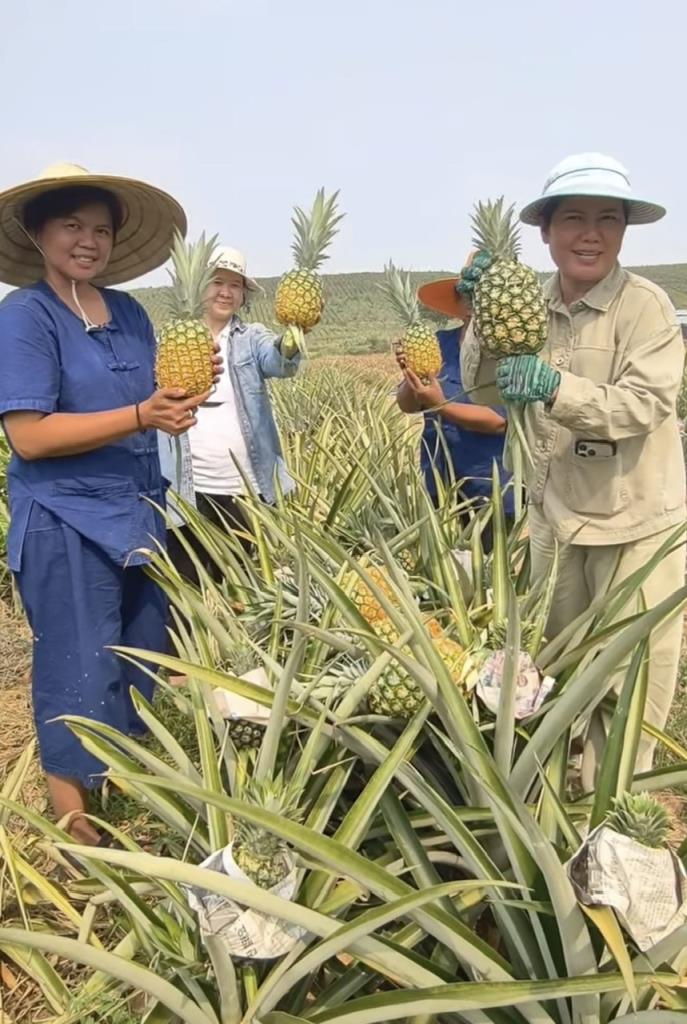 ภาพจากวัดท่าไม้