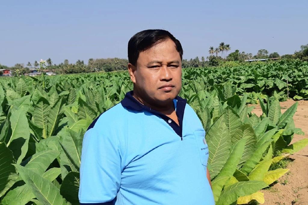 นายสงกรานต์ ภักดีจิตร นายกสมาคมชาวไร่ยาสูบเบอร์เลย์ จังหวัดเพชรบูรณ์ 