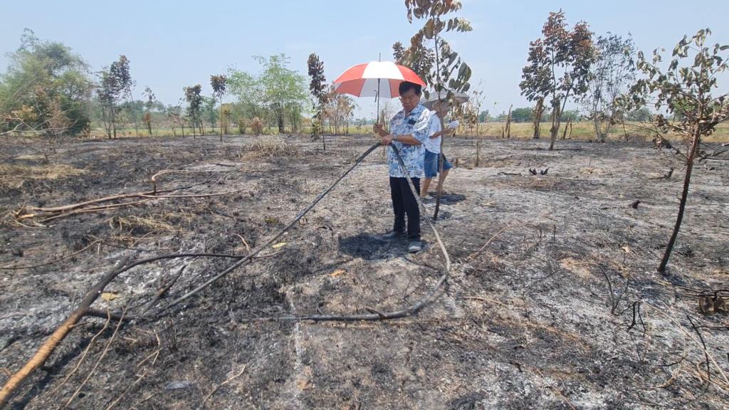 (คลิป)เจ้าของเข่าทรุด! ชาวนากงไกรลาศเผาฟางลามไหม้สวนผสมวอดซ้ำ 5 ไร่ เสียหายกว่า 1 แสนบาท