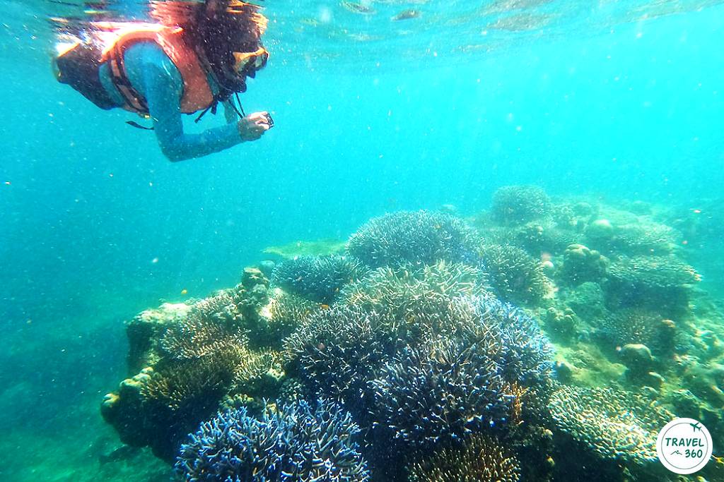 เกาะสุรินทร์ เป็นจุดดำน้ำตื้นที่สวยที่สุดแห่งหนึ่งของเมืองไทย 