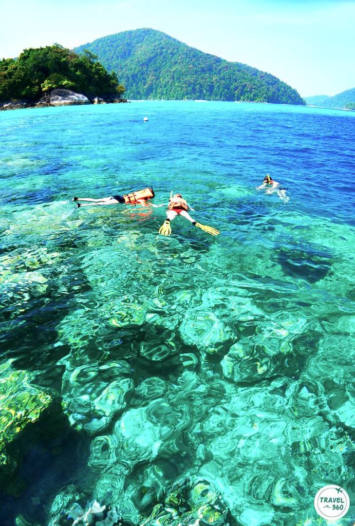 เกาะสุรินทร์มีแนวปะการังน้ำตื้นให้ดำน้ำกันหลายจุด