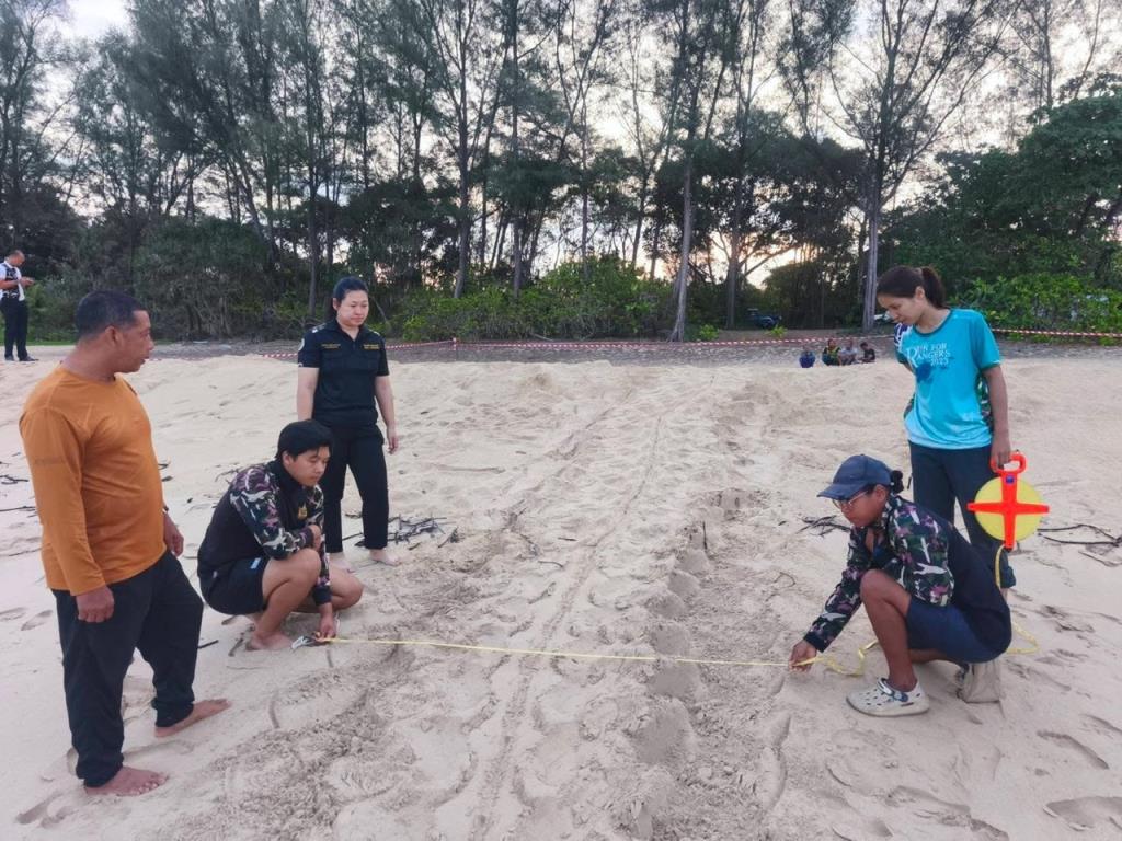 ภาพจาก อช.เขาลำปี-หาดท้ายเหมือง 