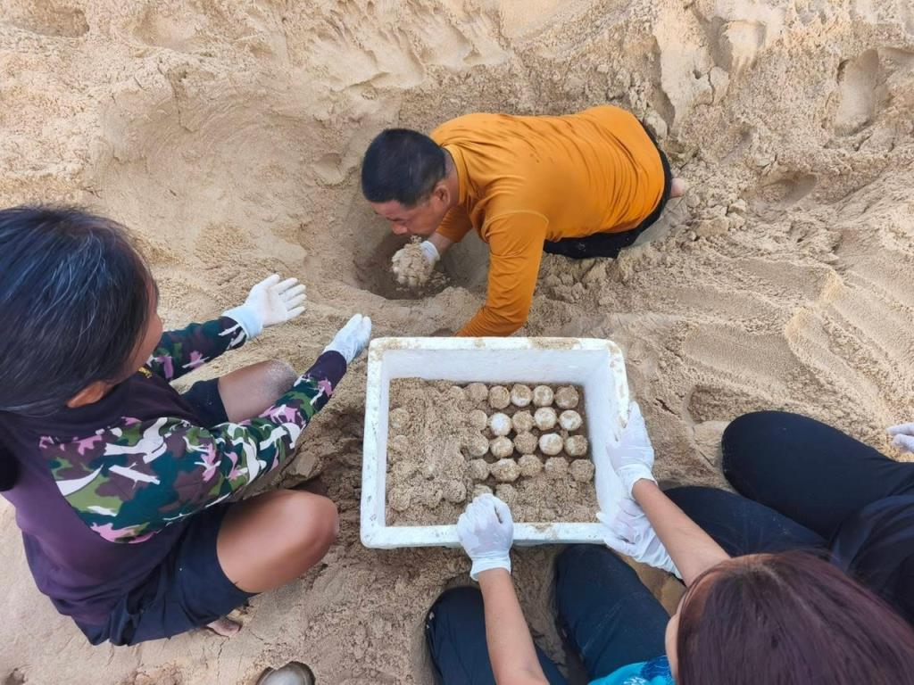 ภาพจาก อช.เขาลำปี-หาดท้ายเหมือง 