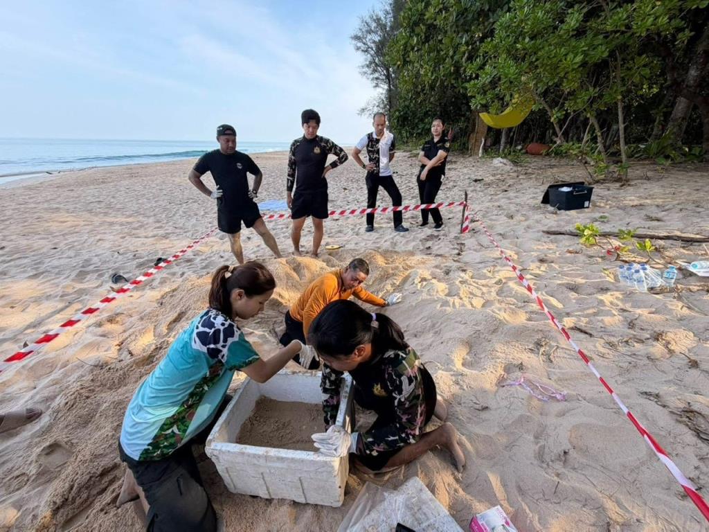ภาพจาก อช.เขาลำปี-หาดท้ายเหมือง 