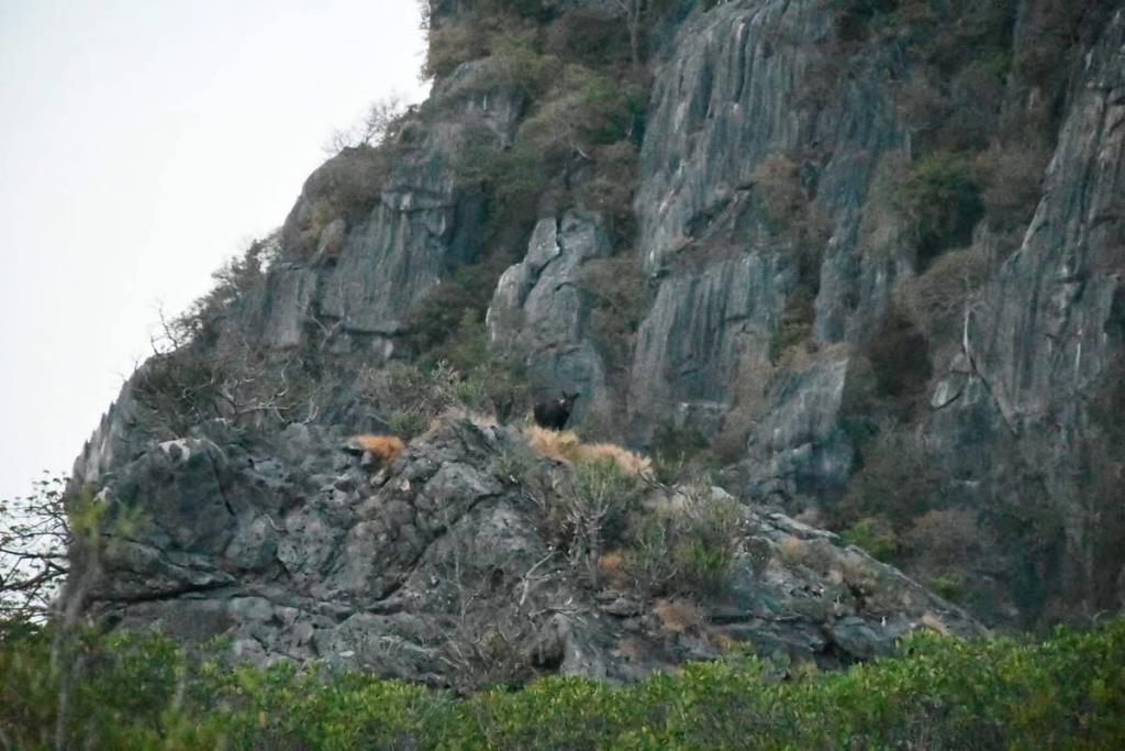 ภาพจากกรมอุทยานฯ