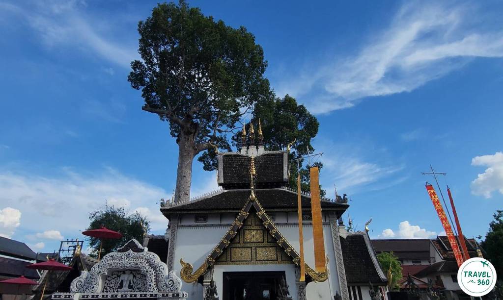 วิหารเสาอินทขีล กับต้นไม้หมายเมือง 