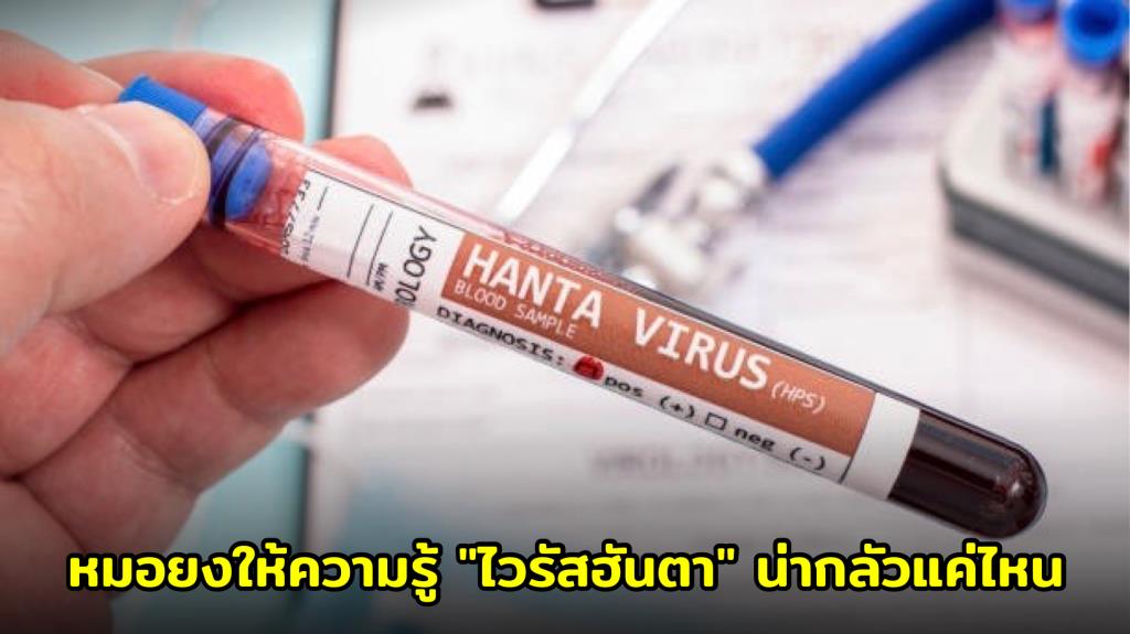 'หมอยง' ให้ความรู้ 'ไวรัสฮันตา' น่ากลัวแค่ไหนสำหรับคนไทย หลังพบสายพันธุ์อันตรายในอเมริกาใต้