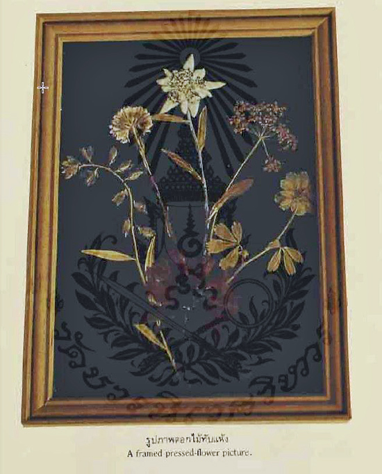 กรอบรูปประดับดอกไม้ทับแห้ง ตรงกลางคือดอก Edelweiss ฝีพระหัตถ์สมเด็จพระศรีนครินทราบรมราชชนนี (ภาพจาก หนังสือ แม่เล่าให้ฟัง)