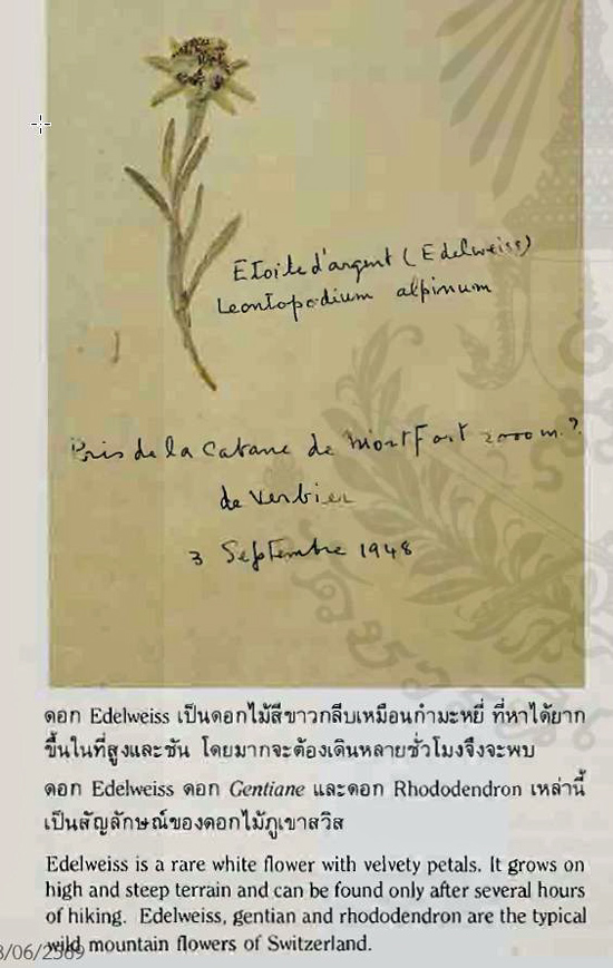 อัลบั้มดอกไม้ทับแห้ง ฝีพระหัตถ์สมเด็จย่า ทรงบันทึกชื่อดอกไม้เป็นภาษาละติน และภาษาฝรั่งเศส วันเวลา สถานที่ทรงเก็บและความสูงของสถานที่ (ภาพจากหนังสือ แม่เล่าให้ฟัง)