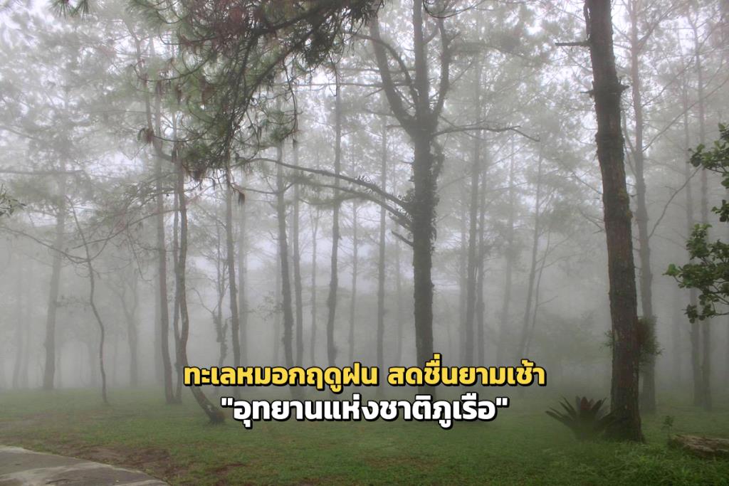 (ภาพ : เพจ กรมอุทยานแห่งชาติ สัตว์ป่า และพันธุ์พืช)