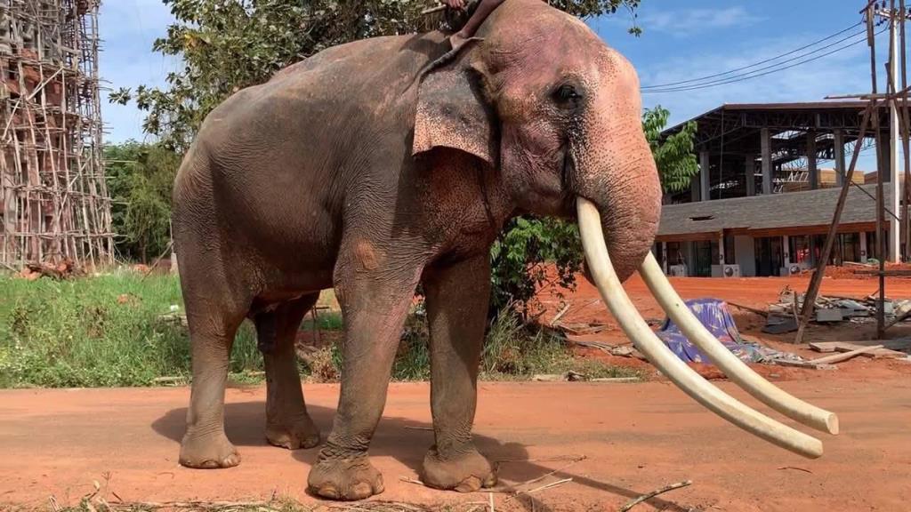 (ภาพ : เพจ สำนักประชาสัมพันธ์เขต 3 กรมประชาสัมพันธ์)