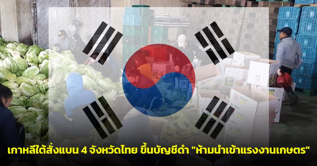 เกาหลีใต้สั่งแบน 4 จังหวัดไทย ขึ้นบัญชีดำ "ห้ามนำเข้าแรงงานเกษตร" ตลอดปี 69 หลังพบแรงงานทำผิดเงื่อนไข MOU