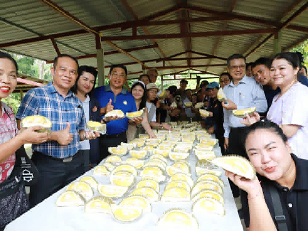 ฤดูกาลผลไม้พังงา 2569 ชูแคมเปญ กินทุเรียน ต้องสาลิกาพังงา