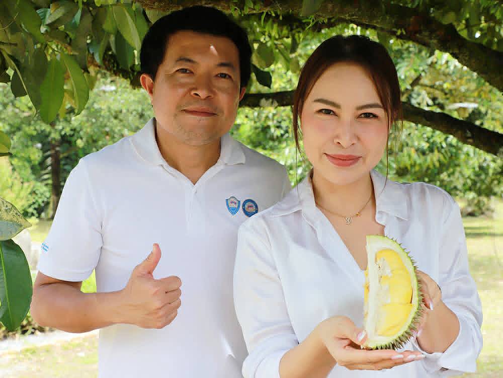 ฤดูกาลผลไม้พังงา 2569 ชูแคมเปญ กินทุเรียน ต้องสาลิกาพังงา