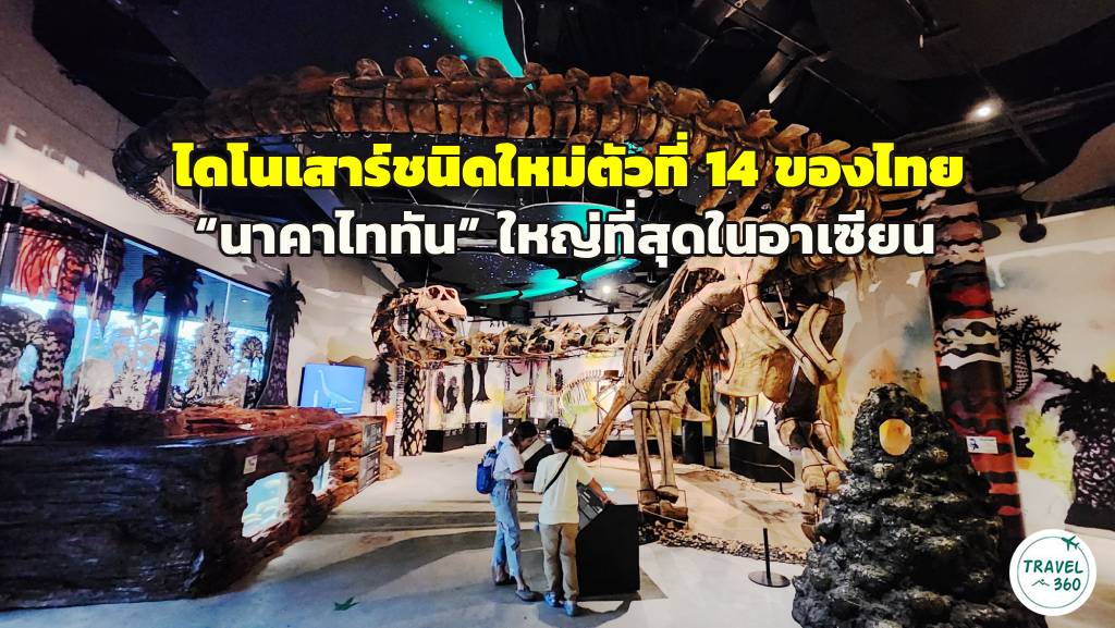 หุ่นจำลองโครงกระดูกเต็มตัวของนาคาไททัน ที่ Thainosaur Museum
