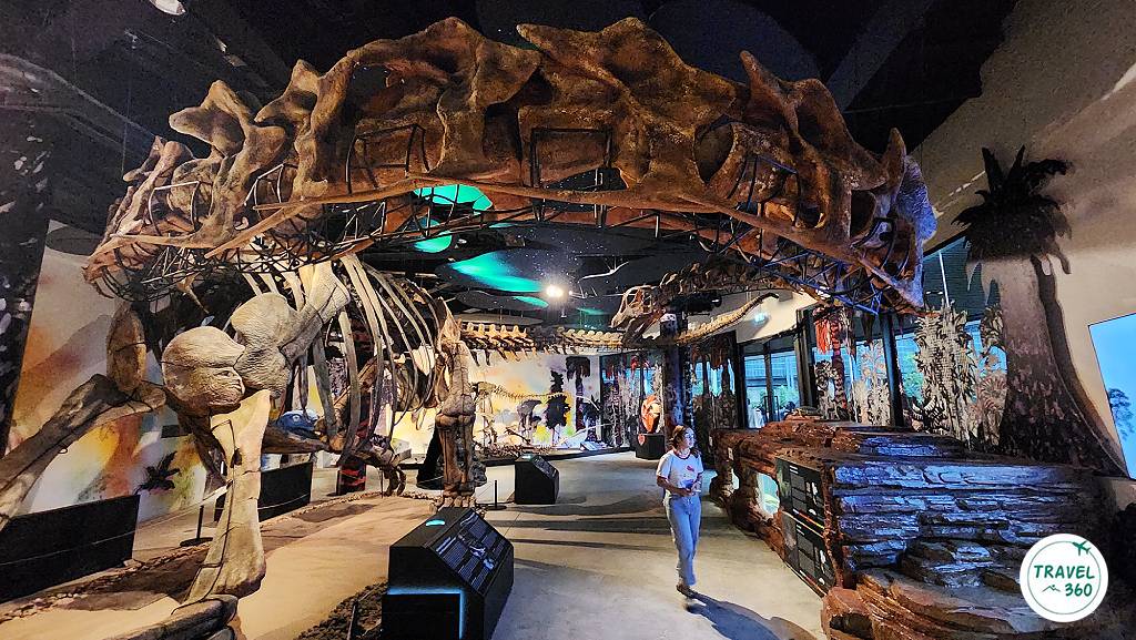 หุ่นจำลองโครงกระดูกเต็มตัวของนาคาไททัน ที่ Thainosaur Museum