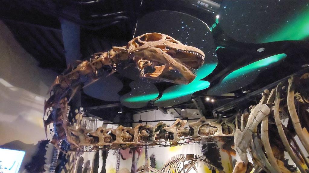 หุ่นจำลองโครงกระดูกเต็มตัวของนาคาไททัน ที่ Thainosaur Museum