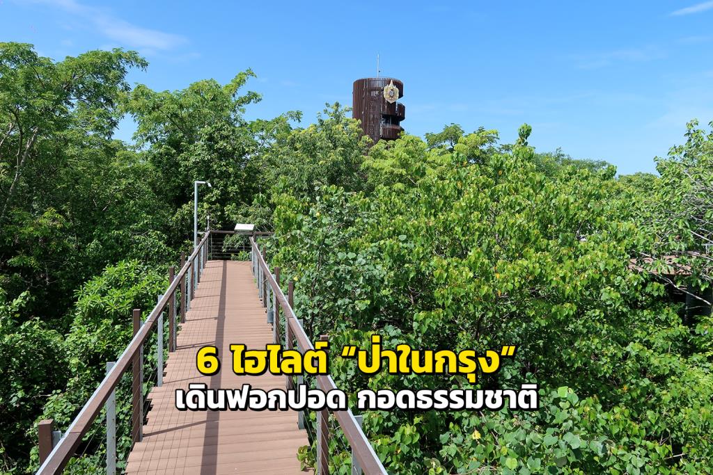 “ป่าในกรุง” เดินฟอกปอด กอดธรรมชาติ