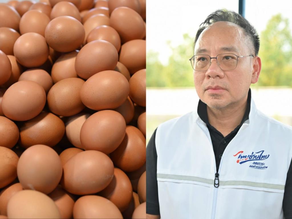 ไม่สมราคาไทยช่วยไทย! คนบริโภคไข่วันละ 42 ล้านฟอง “พาณิชย์” เอามาขายถูก 19 วัน แค่ 3.42 ล้านฟอง
