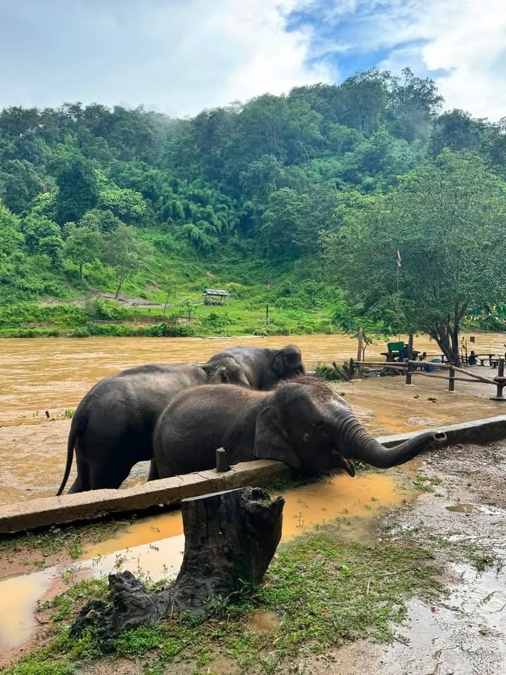 ภาพจากเฟซบุ๊กเพจ เชียงใหม่นิวส์ Chiang Mai News ข่าวเชียงใหม่