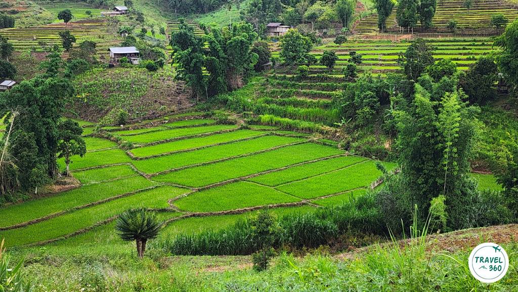 ทิวทัศน์นาขั้นบันไดที่บ้านน้ำรีพัฒนา 
