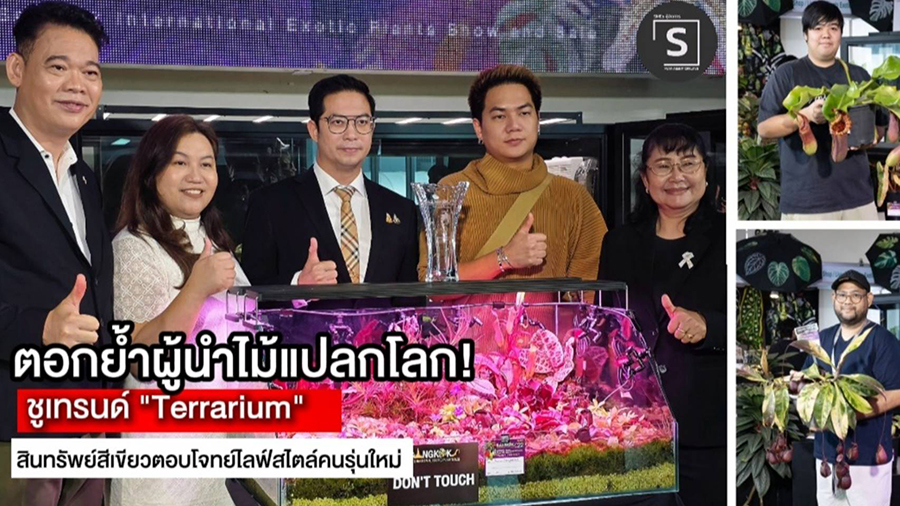(ชมคลิป) Bangkok International Exotic Plants Show &amp; Sale #22 ชูเทรนด์ “Terrarium” สินทรัพย์สีเขียวตอบโจทย์ไลฟ์สไตล์คนรุ่นใหม่