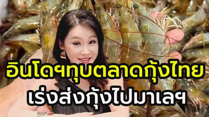 อินโดนีเซีย ฉวยจังหวะไทยส่งกุ้งมาเลฯไม่ได้ เข้าเสียบแทน  “บันเฮงเทรดดิ้ง” ส่งออกกุ้งไทย นำเข้ากุ้งอินโดฯรักษาลูกค้าก่อนจะหลุดมือ