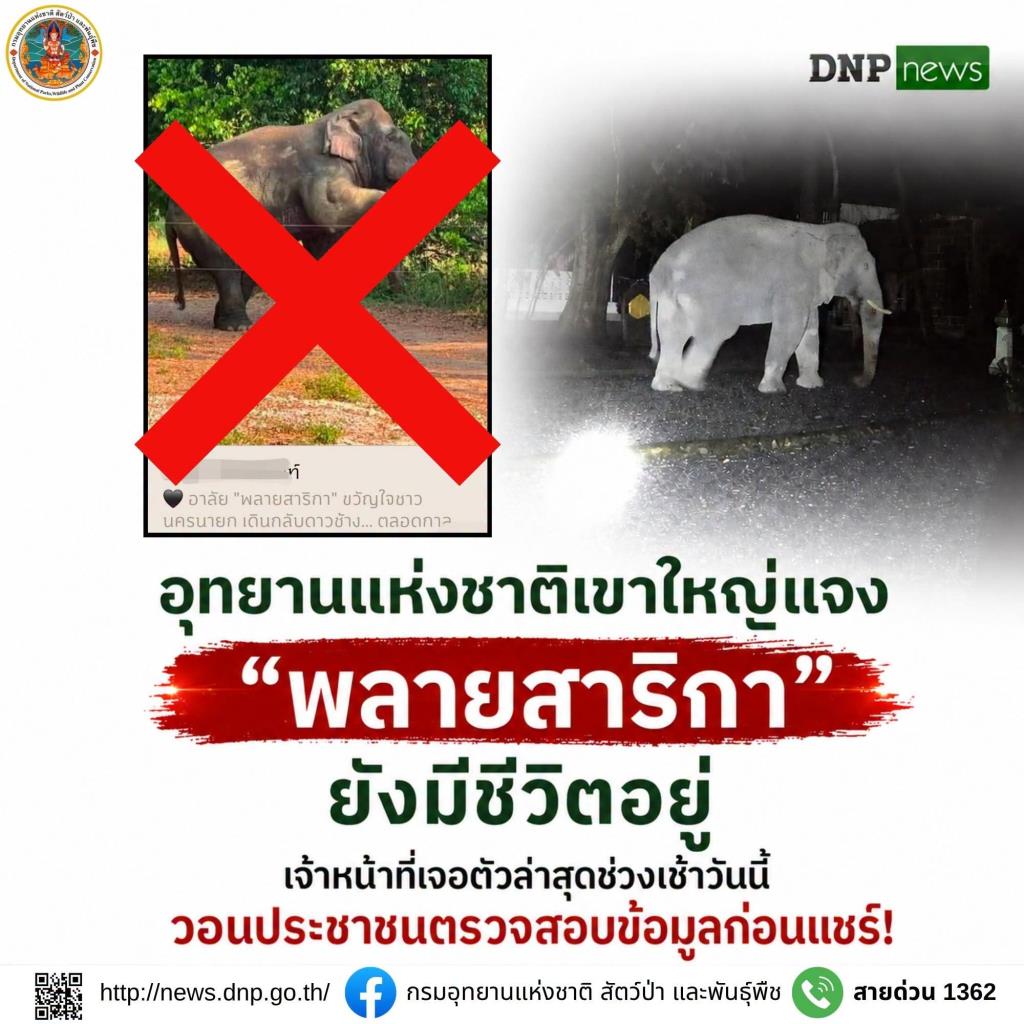 อุทยานแห่งชาติเขาใหญ่แจงพลายสาริกา ยังมีชีวิตอยู่ (ภาพ : กรมอุทยานแห่งชาติ สัตว์ป่า และพันธุ์พืช)