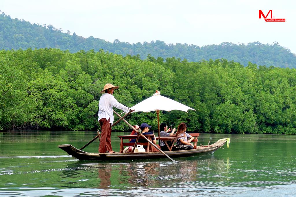 ล่องเรือมาดชมป่าชายเล่นบ้านสลักคอก เกาะช้าง จ.ตราด