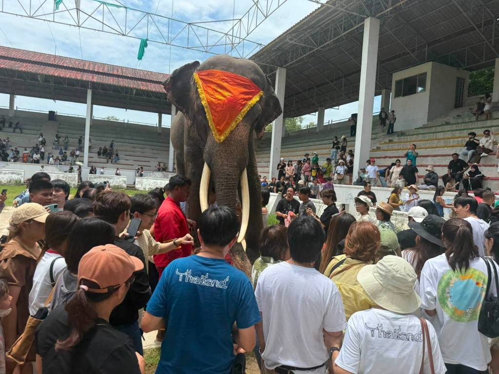 บรรยากาศคนแห่ชมโชว์ช้างแสนรู้ ที่ฟาร์มจระเข้ฯ สมุทรปราการกันอย่างคึกคักในวันเสาร์ที่ 5 ก.ย. 69 (ภาพ : ฟาร์มจระเข้และสวนสัตว์ สมุทรปราการ)